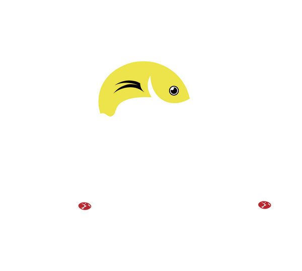 Hokkaido Sashimi Marketplace